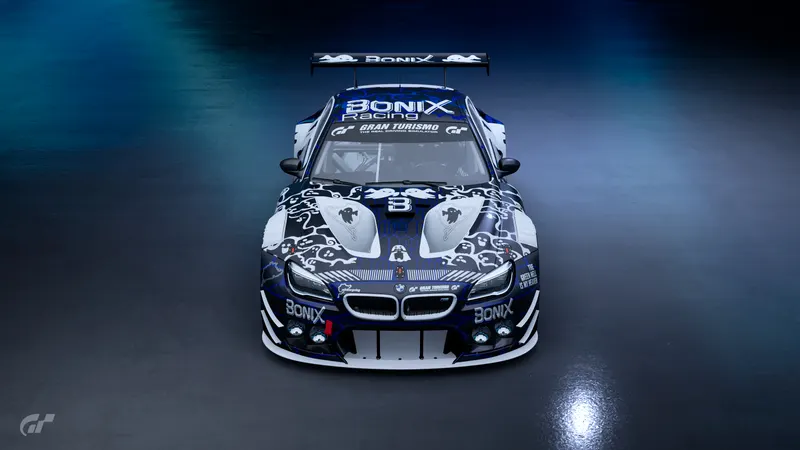 M6 GT3, from above